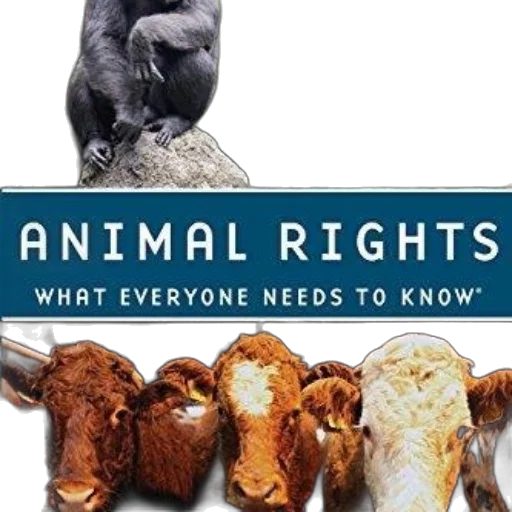 animal, cover, rights, what transparent PNG cut-out