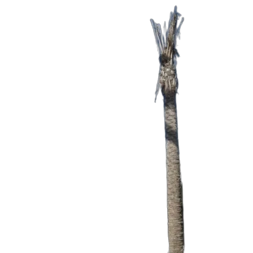 staff, sword, weapon, animal transparent PNG cut-out