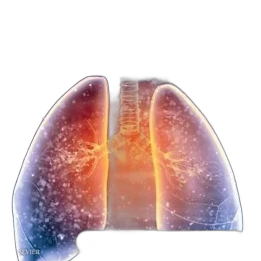 mask, jacket, kad, respiratory transparent PNG cut-out