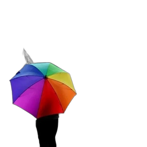 umbrella, hat, staff, flower transparent PNG cut-out