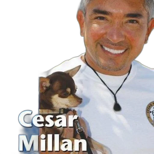 staff, animal, photorealistic, promotional transparent PNG cut-out