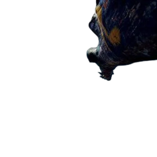 face, animal, mask, creature transparent PNG cut-out