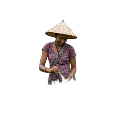 hat, umbrella, staff, weapon transparent PNG cut-out