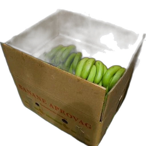 food, crown, 3d render, photorealistic transparent PNG cut-out