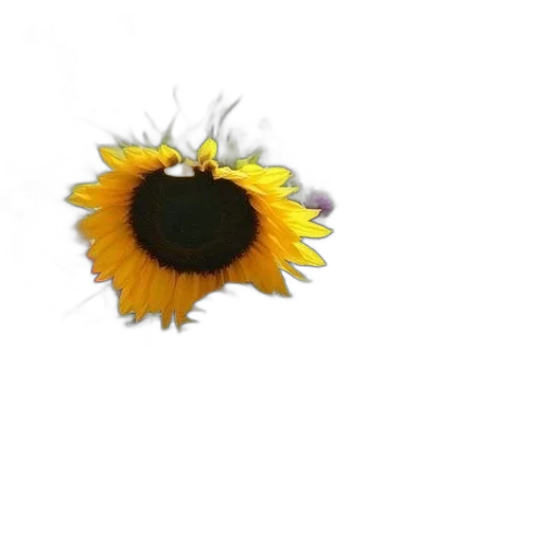 flower, crown, jewelry, staff transparent PNG cut-out