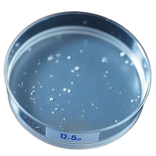 crown, blue, petri, dish transparent PNG cut-out