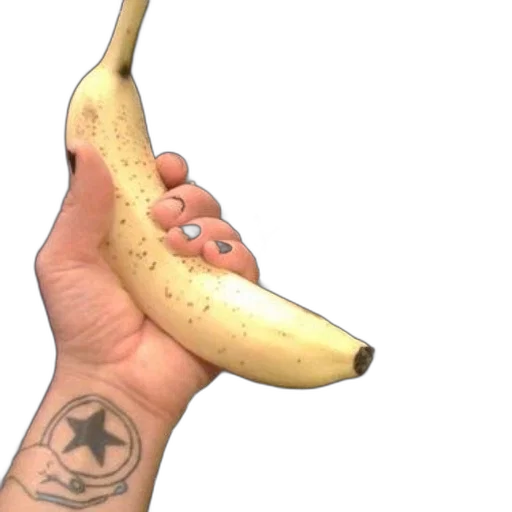 weapon, food, animal, staff transparent PNG cut-out