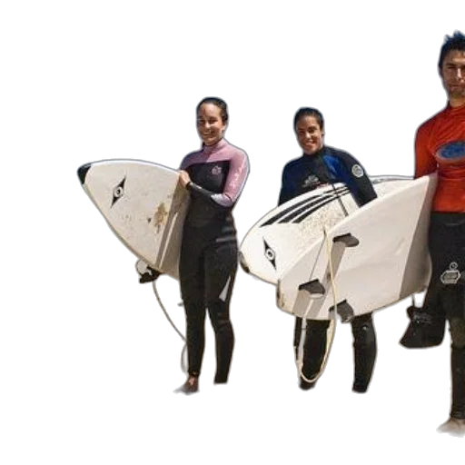 underwater, four, surfers, wetsuits transparent PNG cut-out