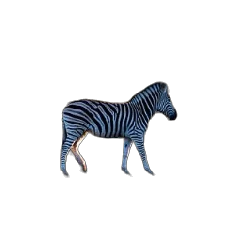 animal, creature, furniture, jewelry transparent PNG cut-out