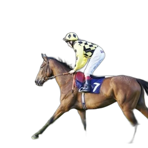 photorealistic, jockey, yellow, black transparent PNG cut-out