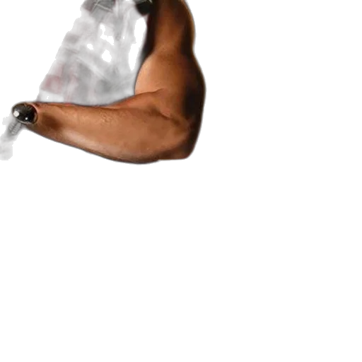 weapon, staff, animal, sword transparent PNG cut-out