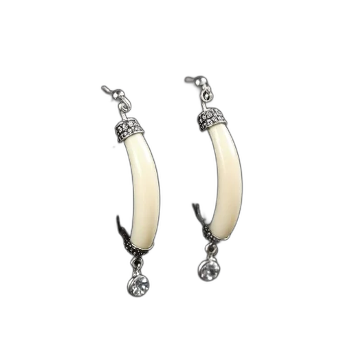 jewelry, pair, silver, earrings transparent PNG cut-out