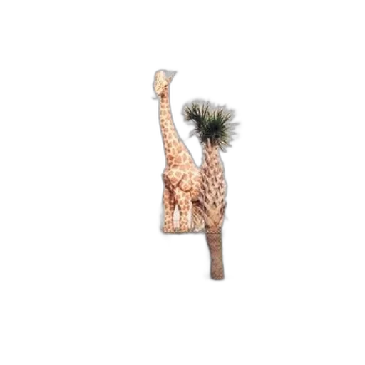 animal, staff, weapon, hair transparent PNG cut-out