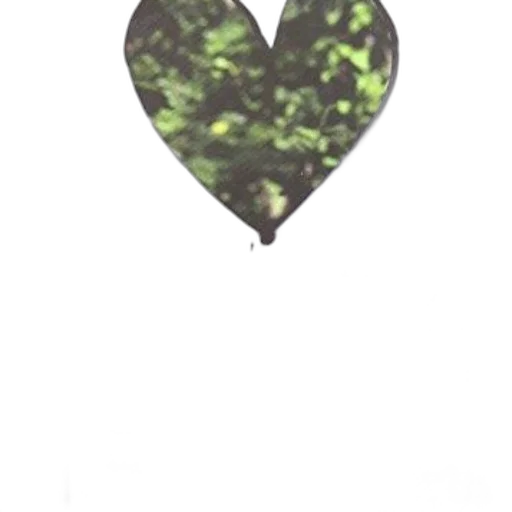 tree, crown, animal, jewelry transparent PNG cut-out