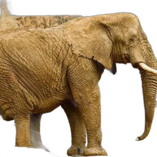 animal, creature, weapon, 3d render transparent PNG cut-out