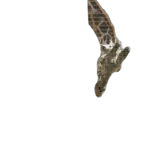 shoes, animal, dragon, hair transparent PNG cut-out