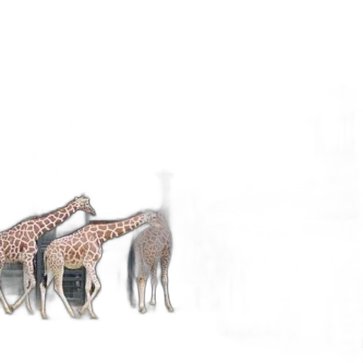 animal, creature, dragon, shoes transparent PNG cut-out