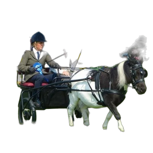 staff, animal, car, robot transparent PNG cut-out