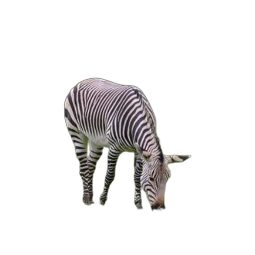 animal, creature, furniture, hat transparent PNG cut-out