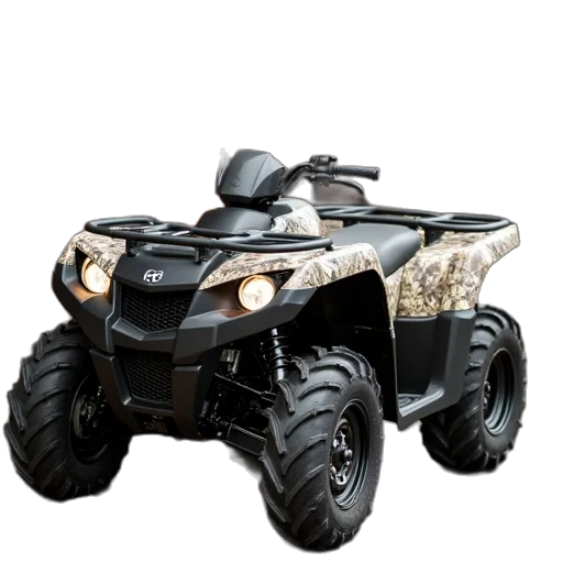 car, 3d render, realtree, camouflage transparent PNG cut-out