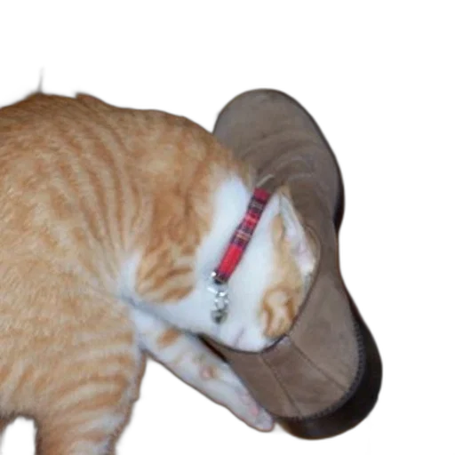 hat, staff, weapon, shoes transparent PNG cut-out
