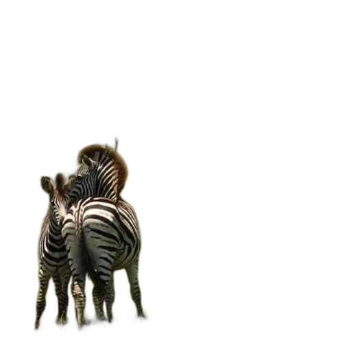 animal, creature, furniture, crown transparent PNG cut-out