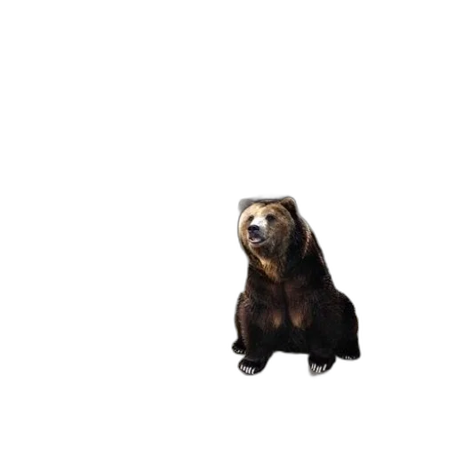 animal, creature, staff, face transparent PNG cut-out