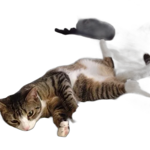 weapon, animal, staff, creature transparent PNG cut-out