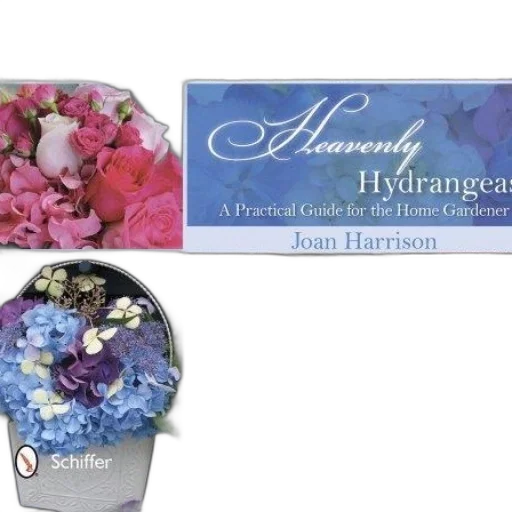 jewelry, heavenly, hydrangeas, practical transparent PNG cut-out