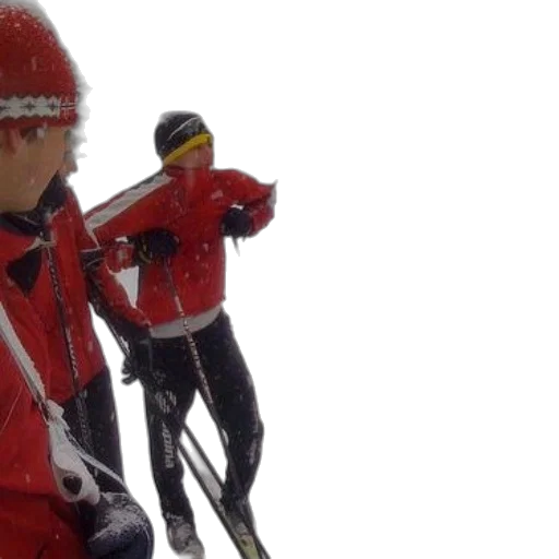snow, group, people, skiing transparent PNG cut-out