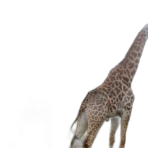 animal, creature, staff, hat transparent PNG cut-out