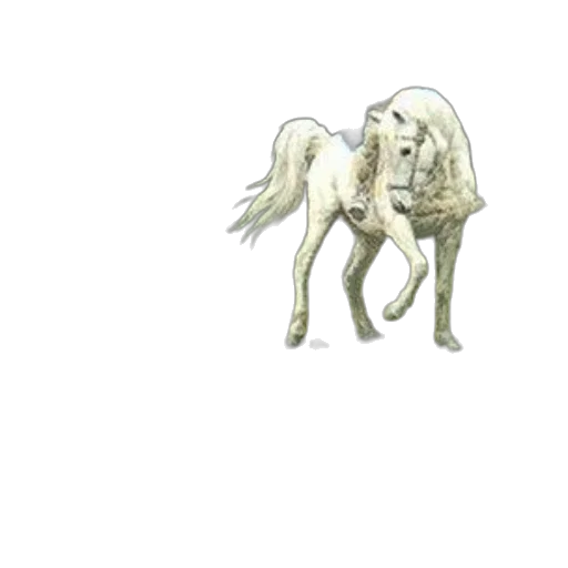 animal, creature, dragon, staff transparent PNG cut-out