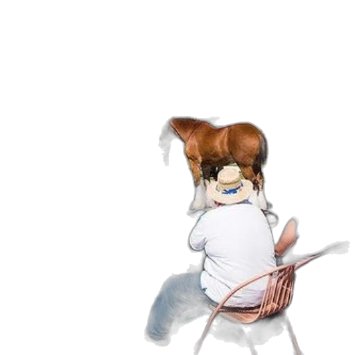 staff, animal, food, jacket transparent PNG cut-out
