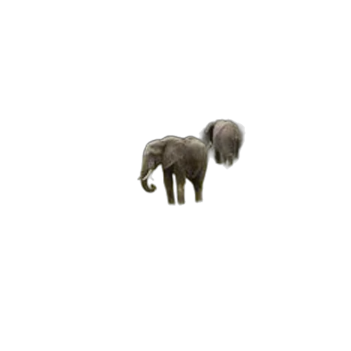 animal, creature, staff, weapon transparent PNG cut-out
