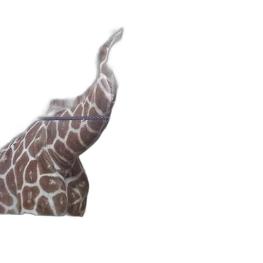 animal, creature, shoes, umbrella transparent PNG cut-out