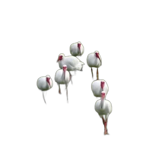 flower, staff, jewelry, crown transparent PNG cut-out