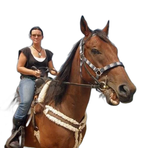 staff, animal, jewelry, photorealistic transparent PNG cut-out