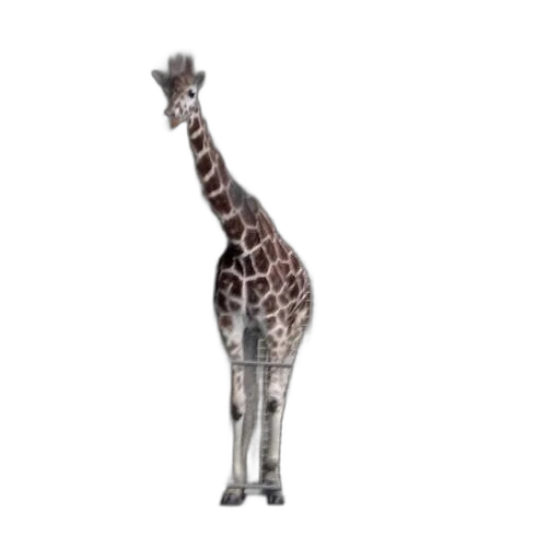 animal, creature, staff, 3d render transparent PNG cut-out