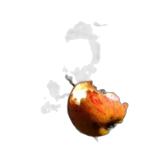flower, food, crown, dragon transparent PNG cut-out