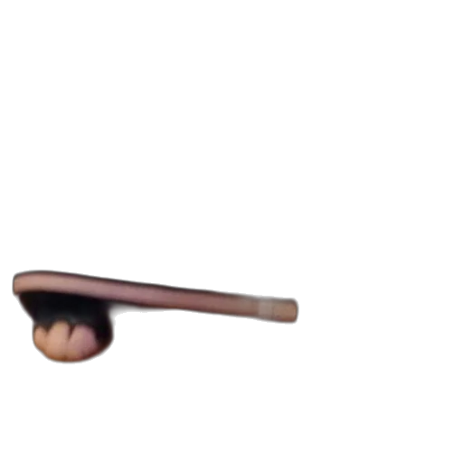 staff, furniture, hat, hair transparent PNG cut-out