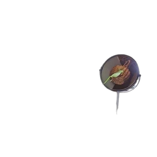 umbrella, food, jewelry, weapon transparent PNG cut-out