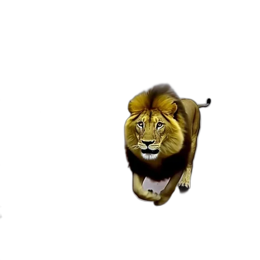 animal, crown, jewelry, weapon transparent PNG cut-out