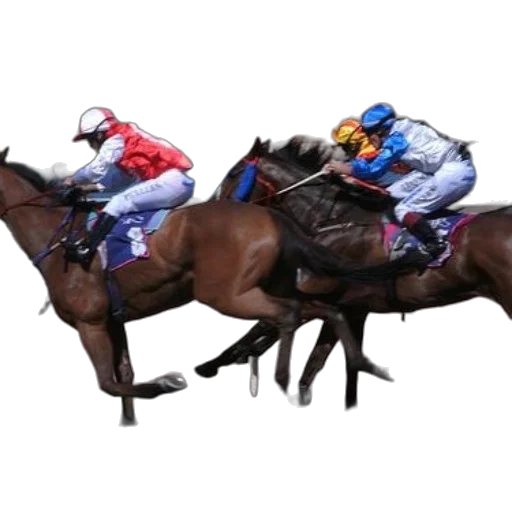 three, jockeys, horses, racing transparent PNG cut-out