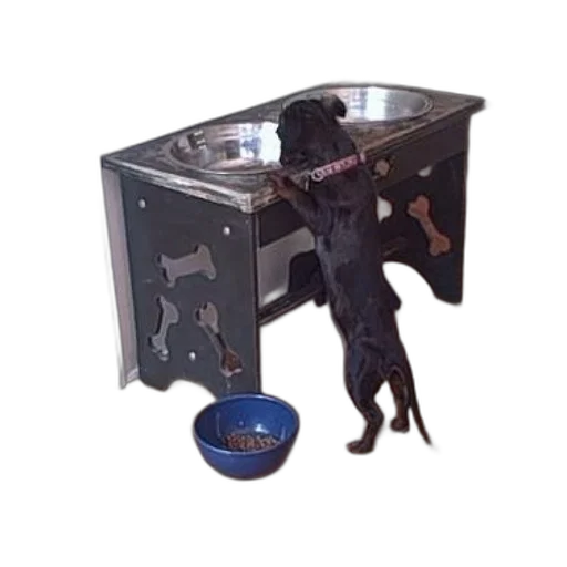 furniture, animal, 3d render, black transparent PNG cut-out