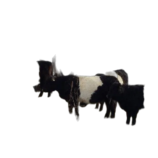 animal, creature, staff, jewelry transparent PNG cut-out