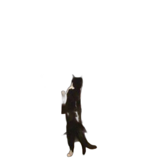 animal, staff, creature, shoes transparent PNG cut-out