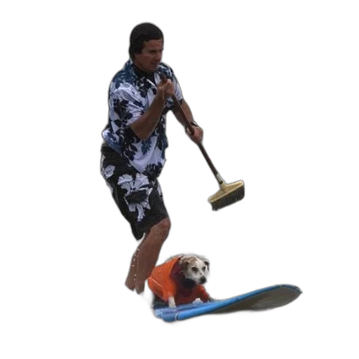 animal, creature, weapon, staff transparent PNG cut-out