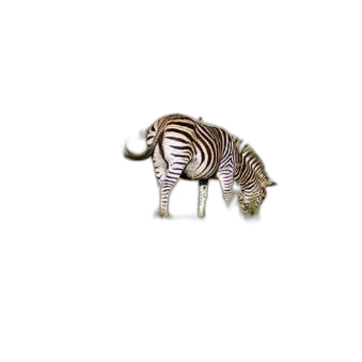 animal, creature, jewelry, furniture transparent PNG cut-out