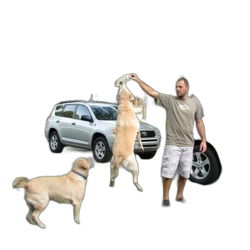 car, animal, creature, staff transparent PNG cut-out