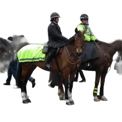 staff, two, police, officers transparent PNG cut-out